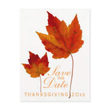 Thanksgiving Save the Date Maple Leaf