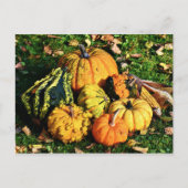 Thanksgiving Scene met pomkins-Corn-Gourds Feestdagenkaart (Voorkant)