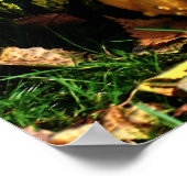 Thanksgiving Scene met pomkins-Corn-Gourds Poster (Hoek)