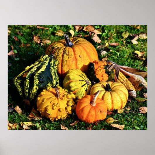 Thanksgiving Scene met pomkins-Corn-Gourds Poster (Voorkant)