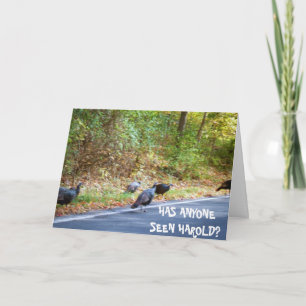 THANKSGIVING, SCHAAL DE TURKEYS MISSING-kaart Feestdagen Kaart