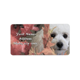 Thanksgiving Speelgoed Poodle puppy adresetiketten Etiket