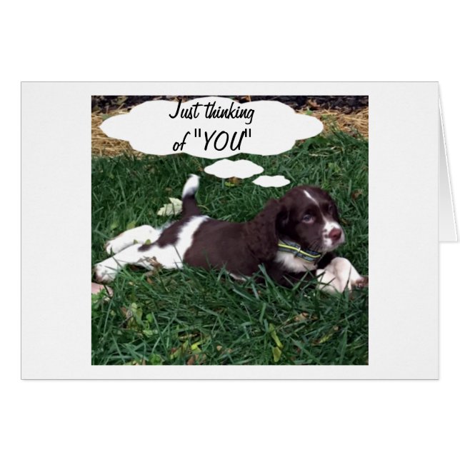 THANKSGIVING TIJD OM TE DENKEN OVER "U" (Voorkant Horizontaal)