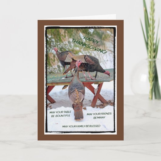 Thanksgiving Trio of Turkeys Card - Blessings Feestdagen Kaart (Voorkant)