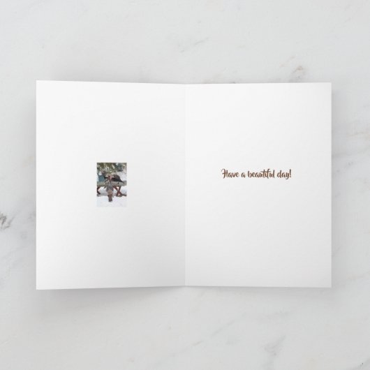 Thanksgiving Trio of Turkeys Card - Blessings Feestdagen Kaart (Binnen)