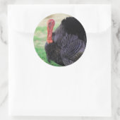 Thanksgiving Turkey Bird Ronde Sticker (Tas)