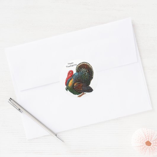 Thanksgiving Turkey Sticker (Envelop)