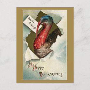  Thanksgiving turkey vintage art drawing Briefkaart