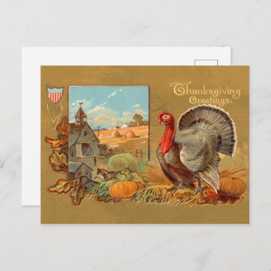  Thanksgiving Turkije Briefkaart (Voorkant / Achterkant)
