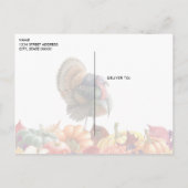 Thanksgiving Turkije Briefkaart (Achterkant)