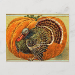  Thanksgiving Turkije Briefkaart