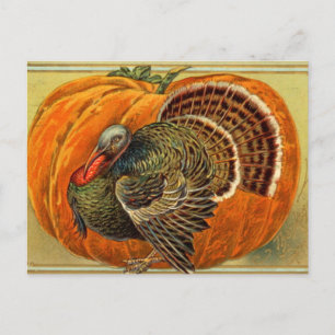 Thanksgiving Turkije Briefkaart