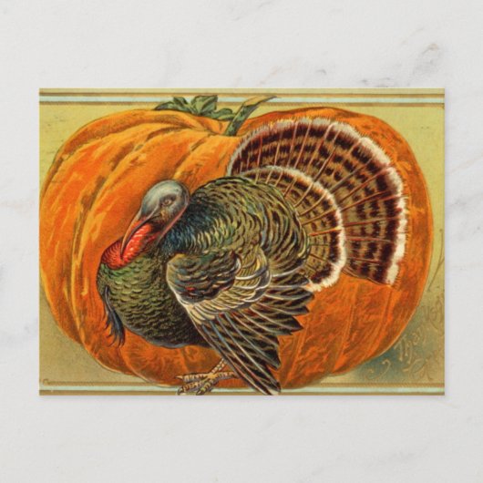  Thanksgiving Turkije Briefkaart (Voorkant)
