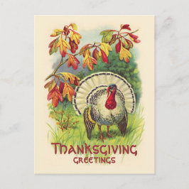  Thanksgiving Turkije briefkaart