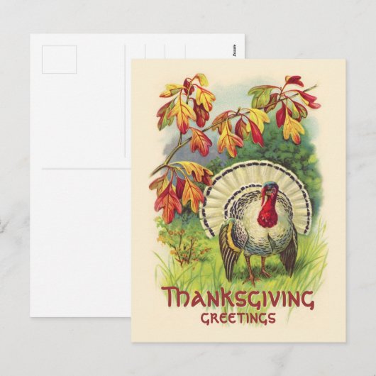  Thanksgiving Turkije briefkaart (Voorkant / Achterkant)