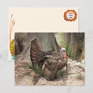 Thanksgiving Turkije Briefkaart