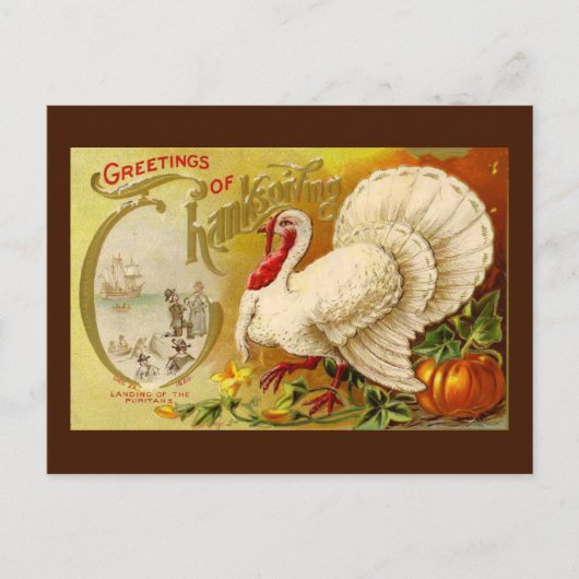  Thanksgiving Turkije Briefkaart (Voorkant)
