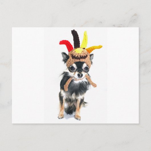 Thanksgiving Turkije Chihuahua Feestdagenkaart (Voorkant)