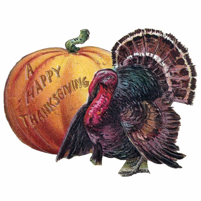  Thanksgiving Turkije en Pumpkin Fotobeeldje Ornament (Voorkant)