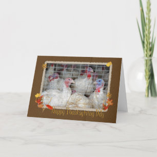 Thanksgiving Turkije Feestdagen Kaart