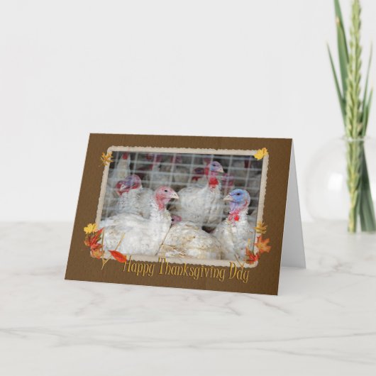 Thanksgiving Turkije Feestdagen Kaart (Voorkant)
