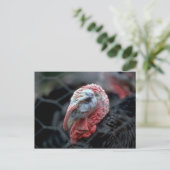 Thanksgiving Turkije Feestdagenkaart (Staand voorkant)