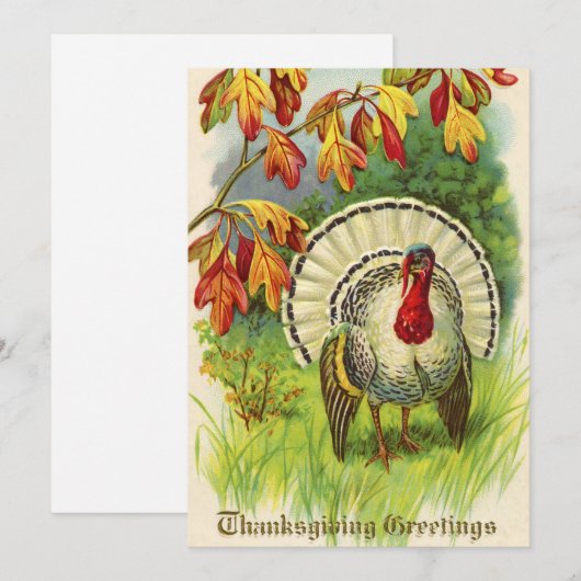  Thanksgiving Turkije Feestdagenkaart (Voorkant / Achterkant)