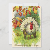  Thanksgiving Turkije