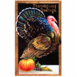 Thanksgiving Turkije Foto sculptuur Staand Fotobeeldje<br><div class="desc">Turkije met een pompoen. Bovenste Thanksgiving groeten. In een gouden trim.</div>