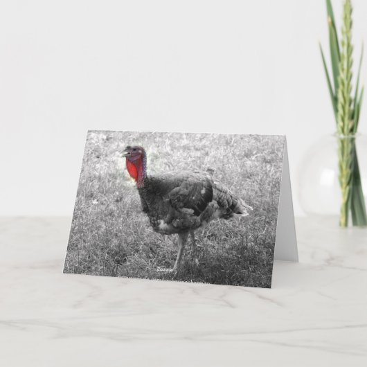 Thanksgiving Turkije Humor Feestdagen Kaart (Achterkant)