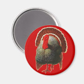  Thanksgiving Turkije Magneet (Voorkant / Achterkant)