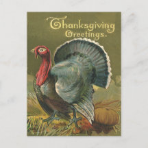  Thanksgiving, Turkije over de Boerderij