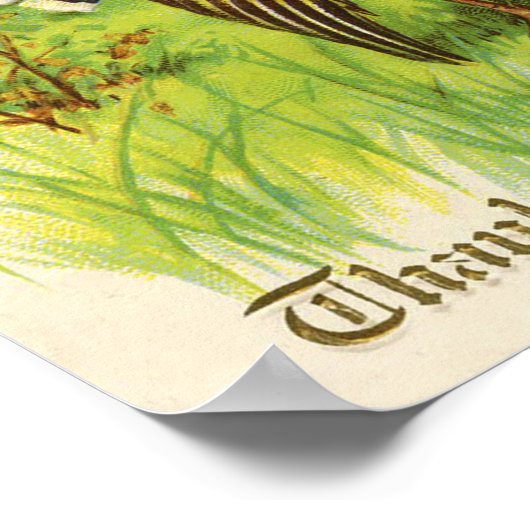  Thanksgiving Turkije Poster (Hoek)