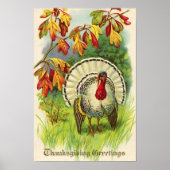  Thanksgiving Turkije Poster (Voorkant)