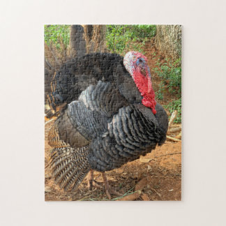 Thanksgiving Turkije Puzzle Legpuzzel