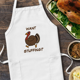 Thanksgiving Turkije — Schort studeren