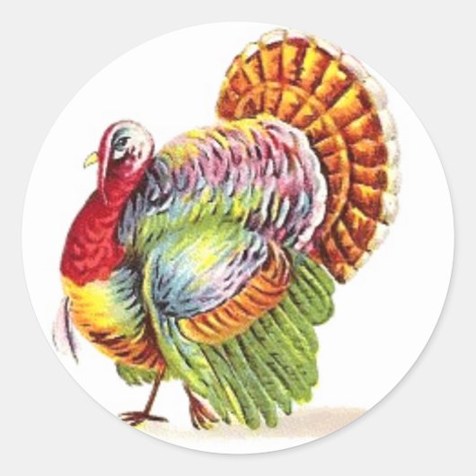 Thanksgiving Turkije Stickers - Kleurrijk (Voorkant)