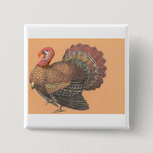 Thanksgiving Turkije Vierkante Button 5,1 Cm (Voorkant)
