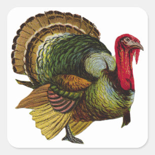 Thanksgiving Turkije Vierkante Sticker