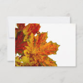 Thanksgiving uitnodigingen in het binnenland najaa (Achterkant)