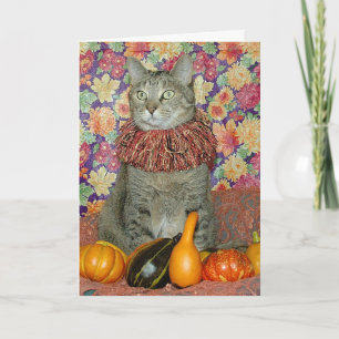 Thanksgiving van bruine katten of herfstkaarten kaart