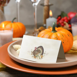 Thanksgiving van de vogelgriep in Turkije Plaatskaartje