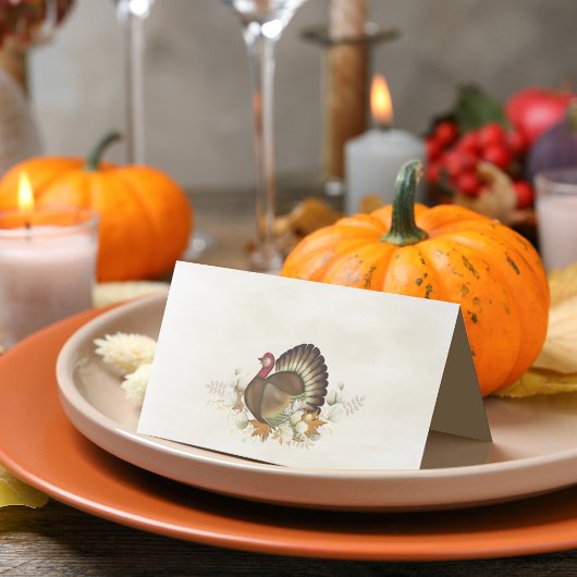 Thanksgiving van de vogelgriep in Turkije Plaatskaartje