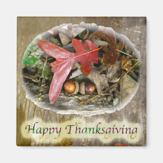 Thanksgiving van eikel en eikel magneet