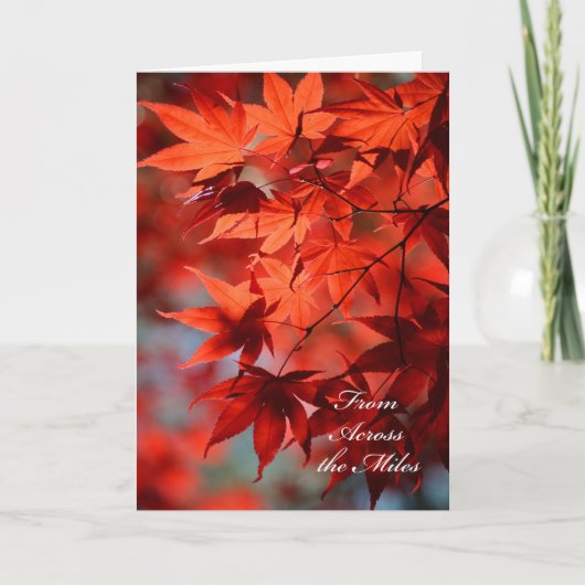 Thanksgiving vanaf de andere kant van de Miles Car Feestdagen Kaart (Voorkant)