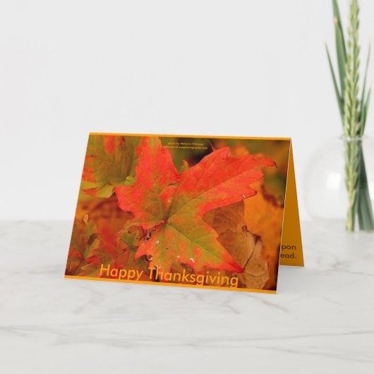 Thanksgiving Wenskaart Feestdagen Kaart (Voorkant)