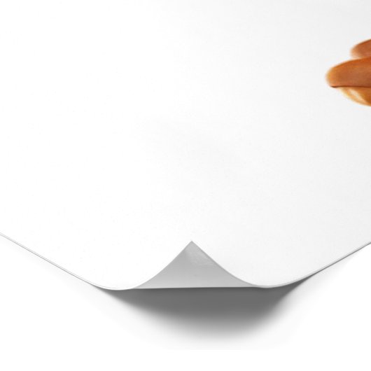 Thanksgiving Western Turkije Poster (Hoek)