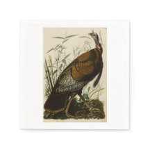 Thanksgiving Wilde Kalkoen John James Audubon