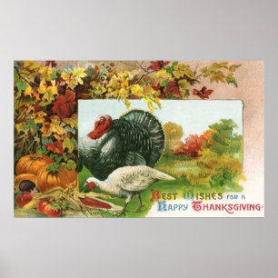 Thanksgiving, wilde kalkoenen - herfstkleuren Poster