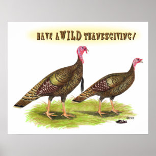 Thanksgiving wilde kalkoenen poster